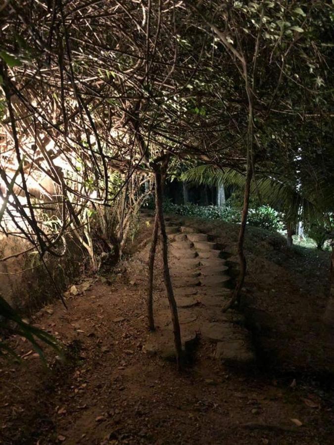 Plasencia Estate اوموا المظهر الخارجي الصورة