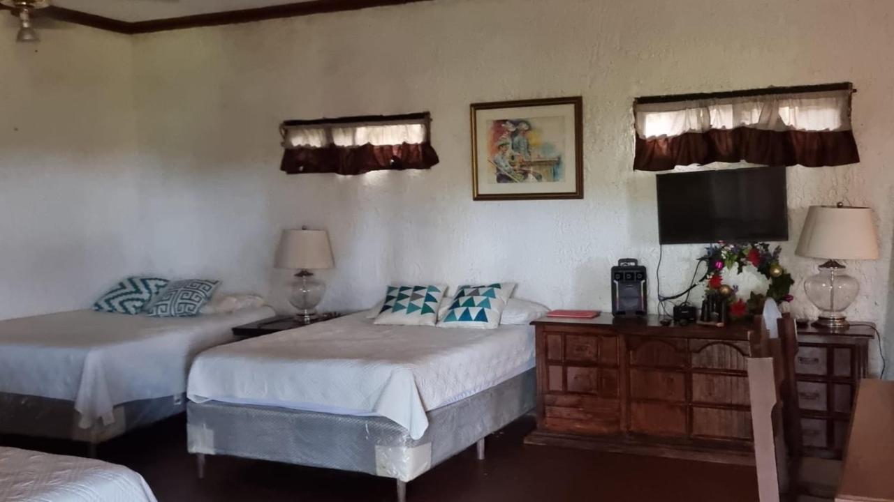 Plasencia Estate اوموا المظهر الخارجي الصورة